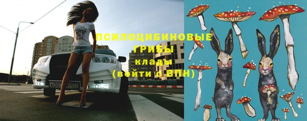 прущие крисы Алексеевка